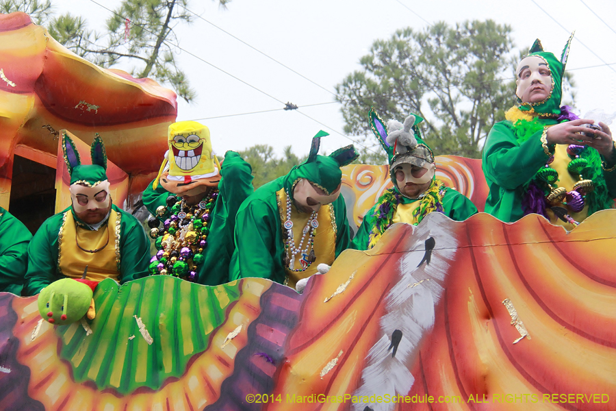 2014-Krewe-of-Carrollton11245