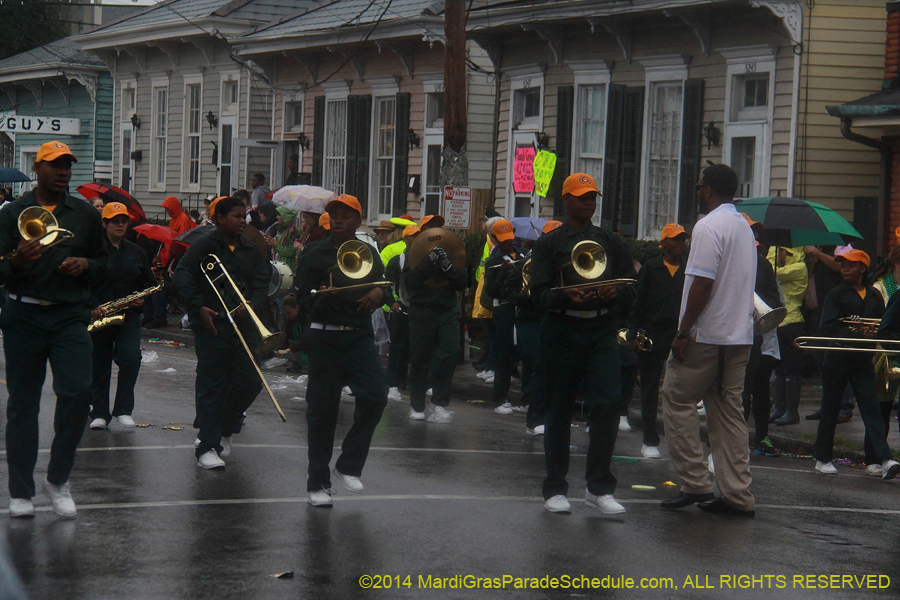 2014-Krewe-of-Carrollton11248