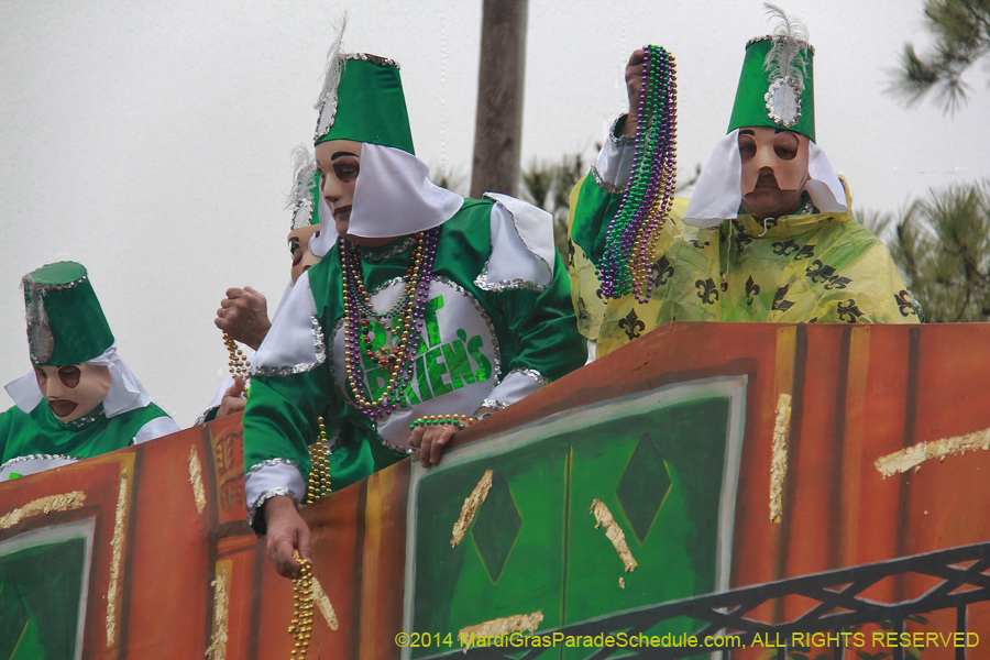 2014-Krewe-of-Carrollton11252