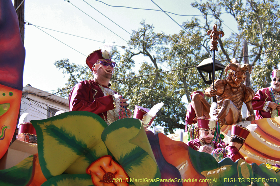 Krewe-of-Carrollton-2015-12046