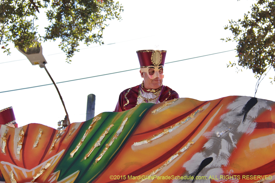 Krewe-of-Carrollton-2015-12050