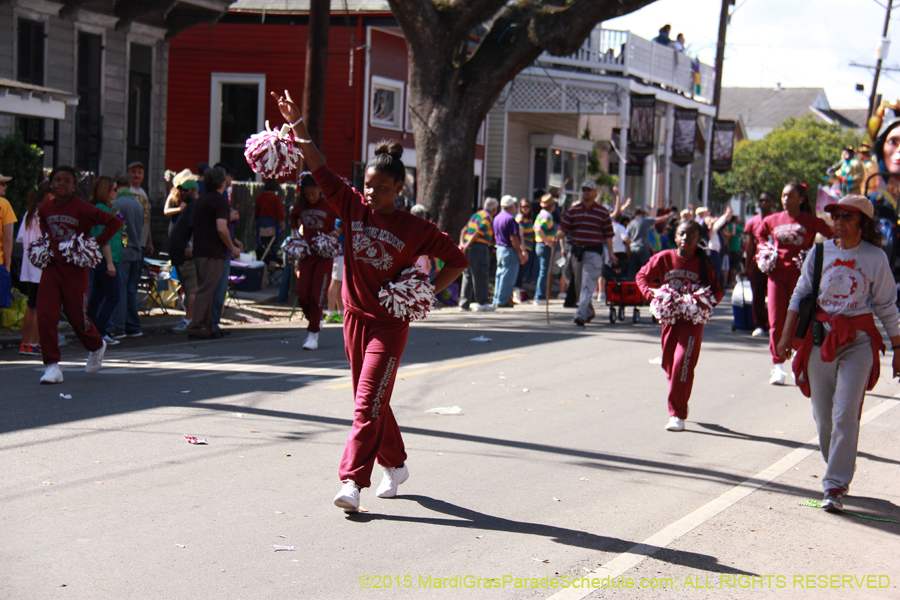 Krewe-of-Carrollton-2015-12070