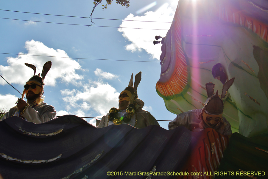 Krewe-of-Carrollton-2015-12150