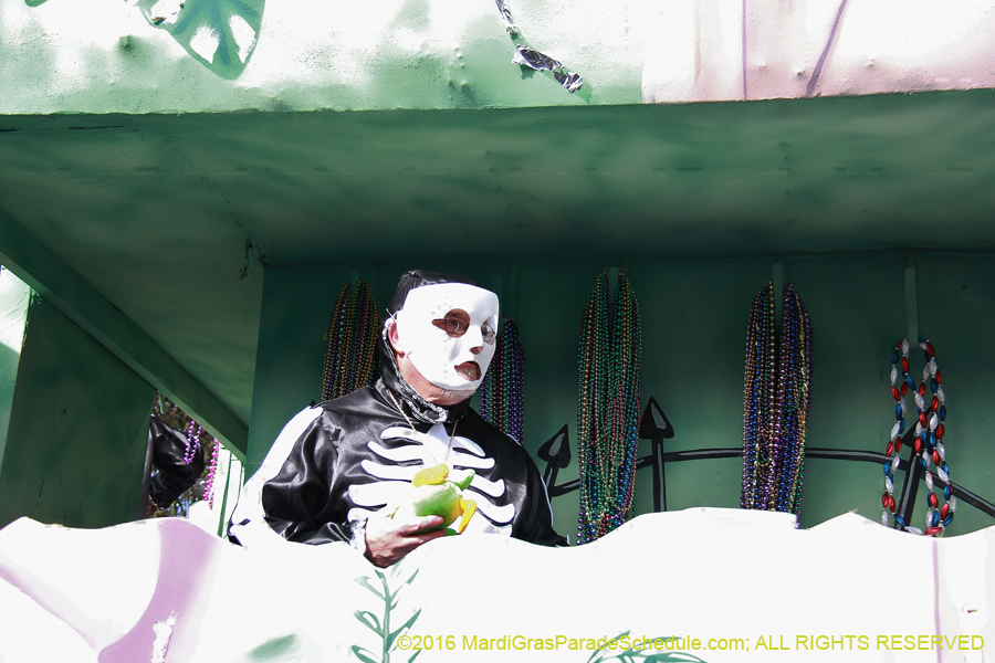 2016-Krewe-of-Carrollton-003766