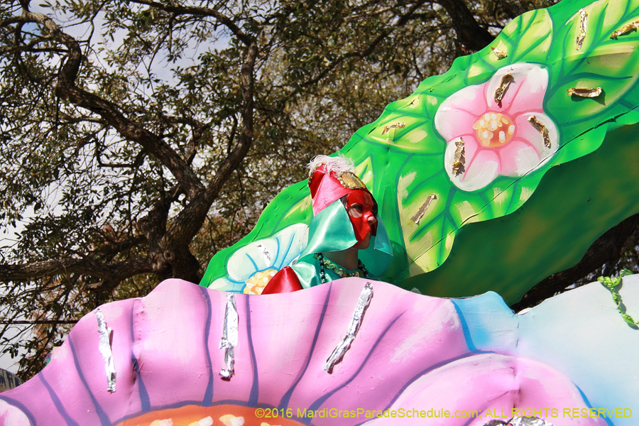 2016-Krewe-of-Carrollton-003801