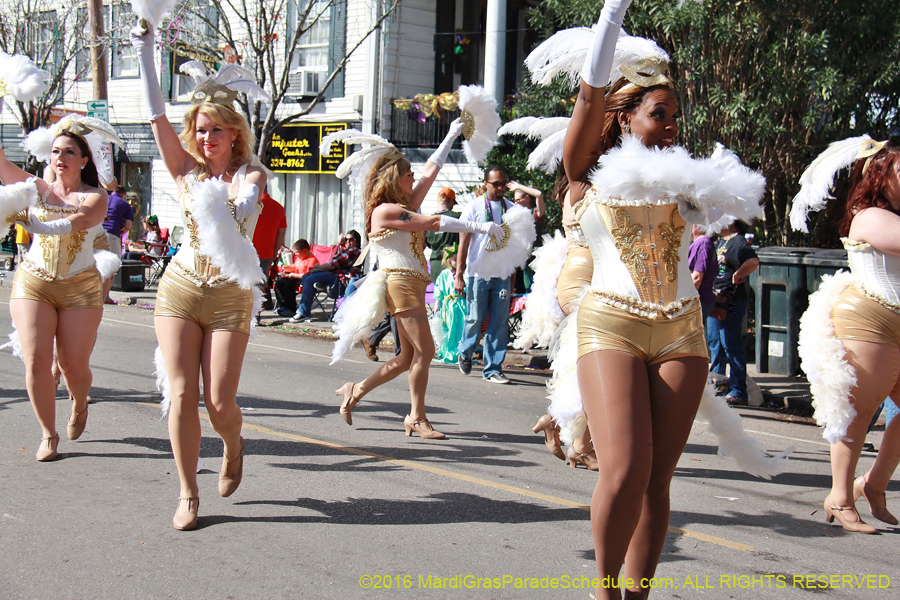 2016-Krewe-of-Carrollton-003818