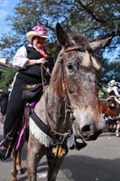 2016-Krewe-of-Carrollton-003758