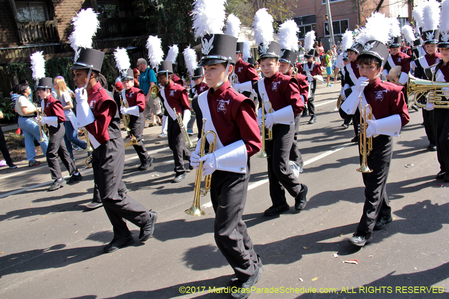 Krewe-of-Carrollton-2017-04226