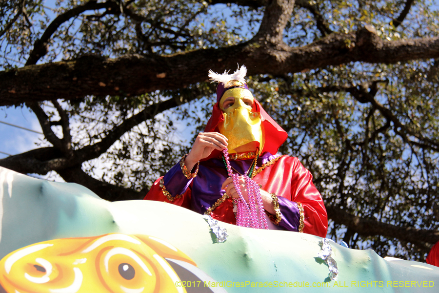 Krewe-of-Carrollton-2017-04336