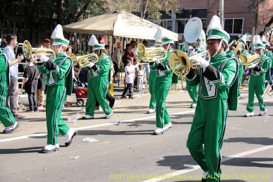 Krewe-of-Carrollton-2017-04368