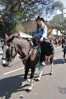 Krewe-of-Carrollton-2017-04318