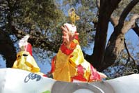 Krewe-of-Carrollton-2017-04326