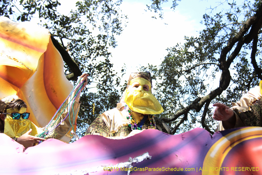 Krewe-of-Carrollton-2019-003030