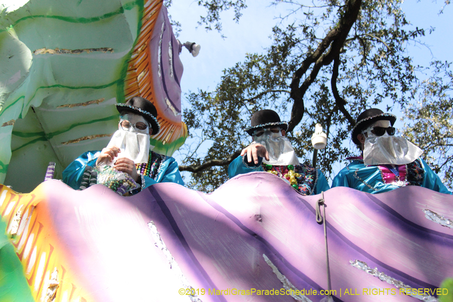 Krewe-of-Carrollton-2019-003059