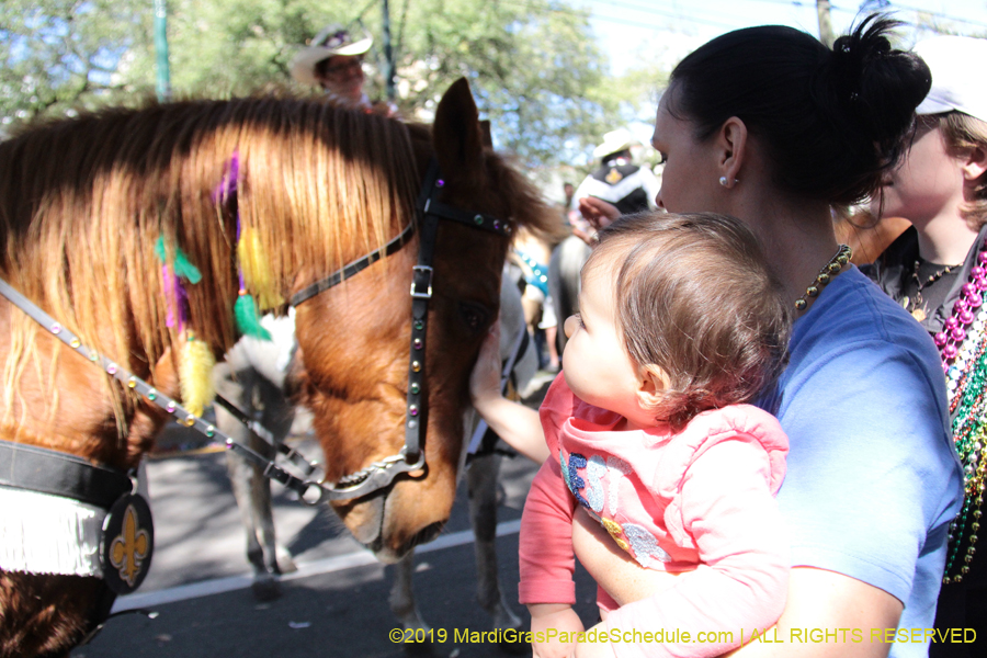 Krewe-of-Carrollton-2019-003068