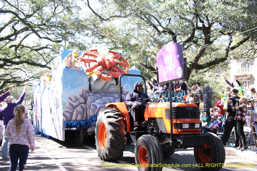 Krewe-of-Carrollton-2019-003081