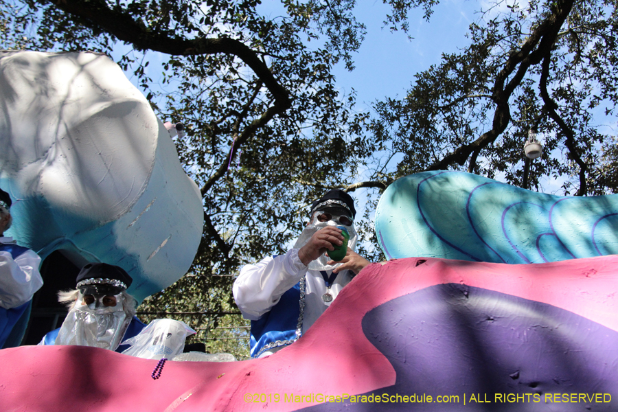 Krewe-of-Carrollton-2019-003107