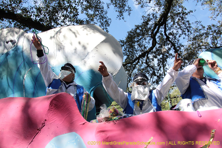 Krewe-of-Carrollton-2019-003108