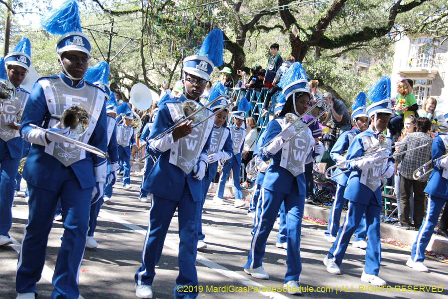 Krewe-of-Carrollton-2019-003112