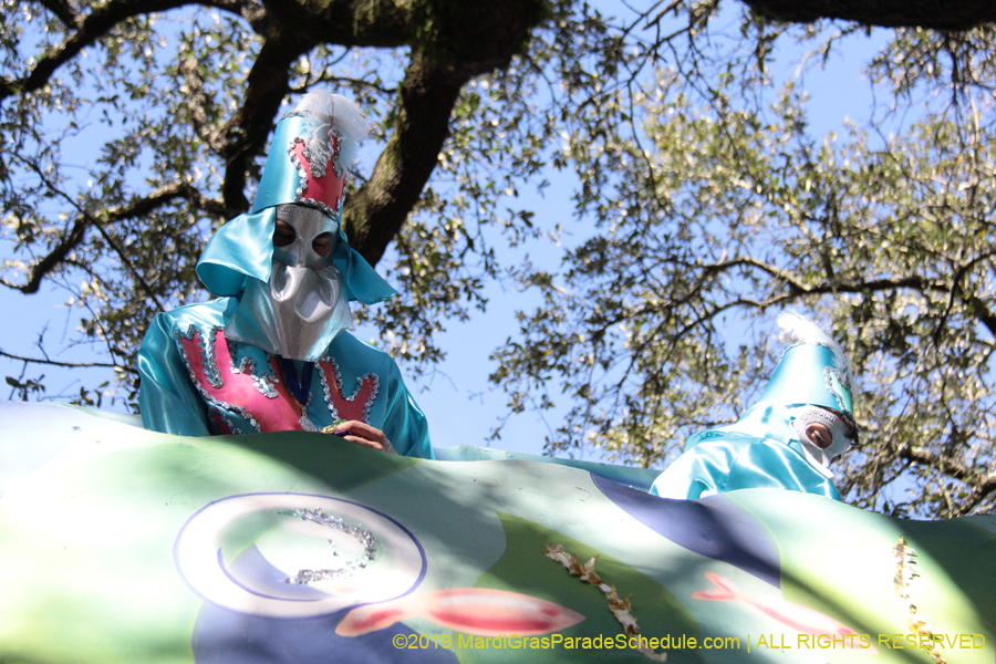 Krewe-of-Carrollton-2019-003120