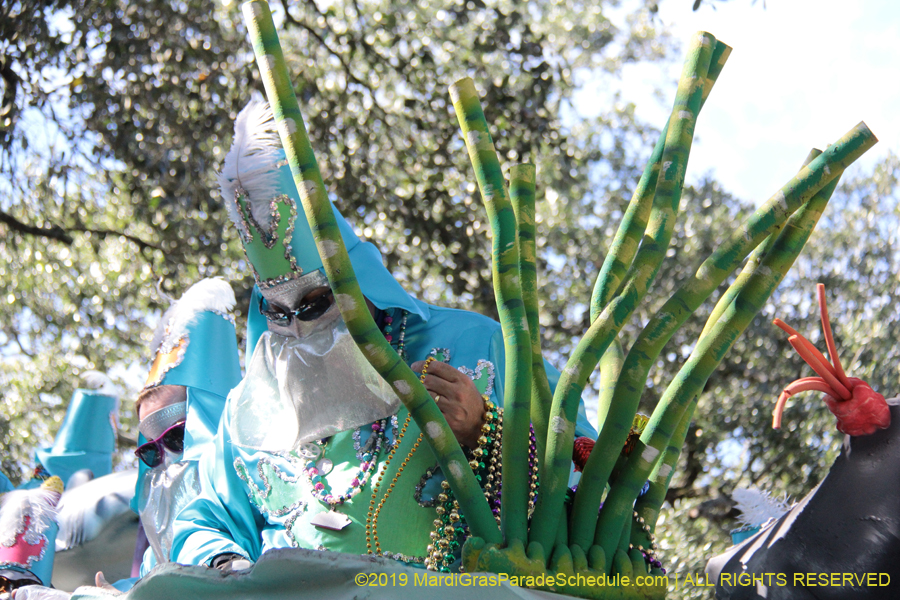 Krewe-of-Carrollton-2019-003121