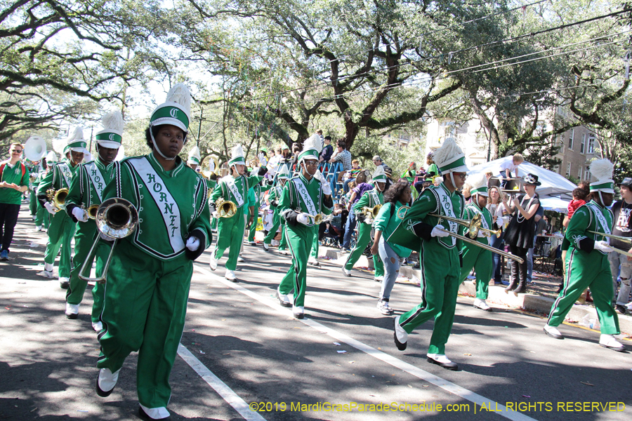 Krewe-of-Carrollton-2019-003145