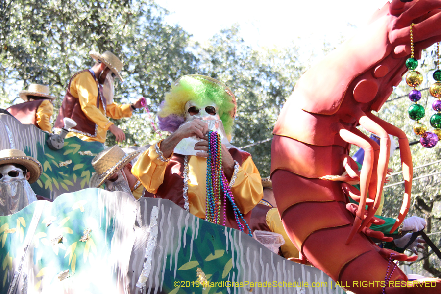 Krewe-of-Carrollton-2019-003148