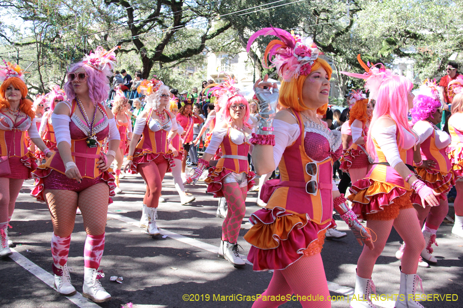 Krewe-of-Carrollton-2019-003158