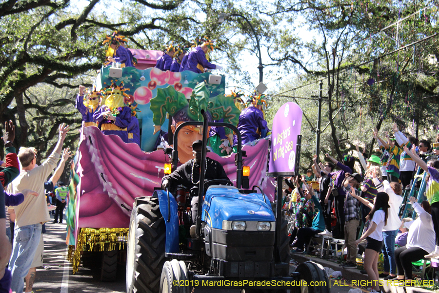 Krewe-of-Carrollton-2019-003213