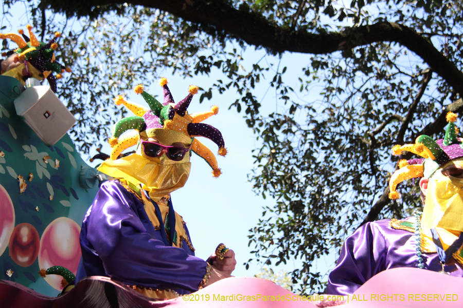 Krewe-of-Carrollton-2019-003216