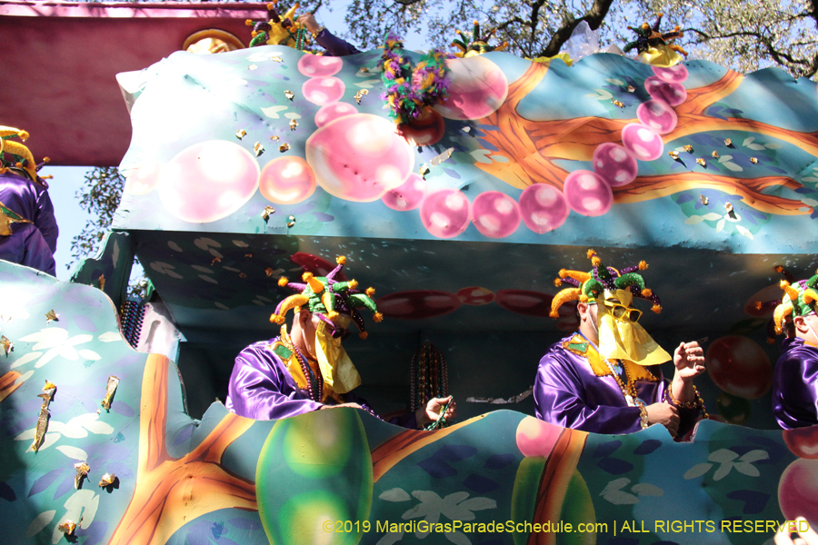 Krewe-of-Carrollton-2019-003220