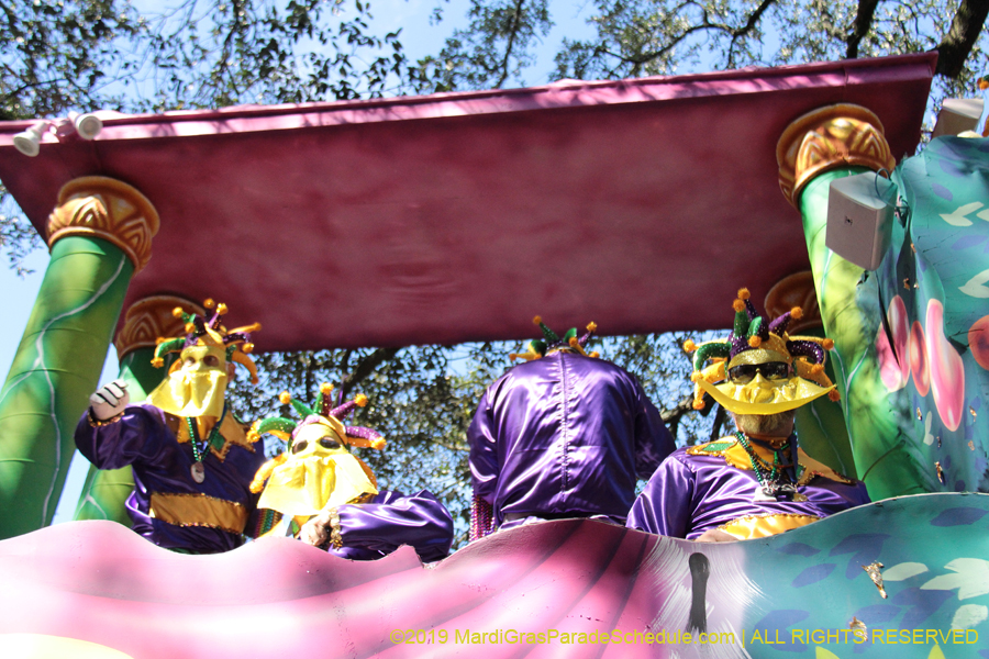 Krewe-of-Carrollton-2019-003221