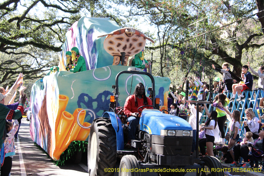 Krewe-of-Carrollton-2019-003225