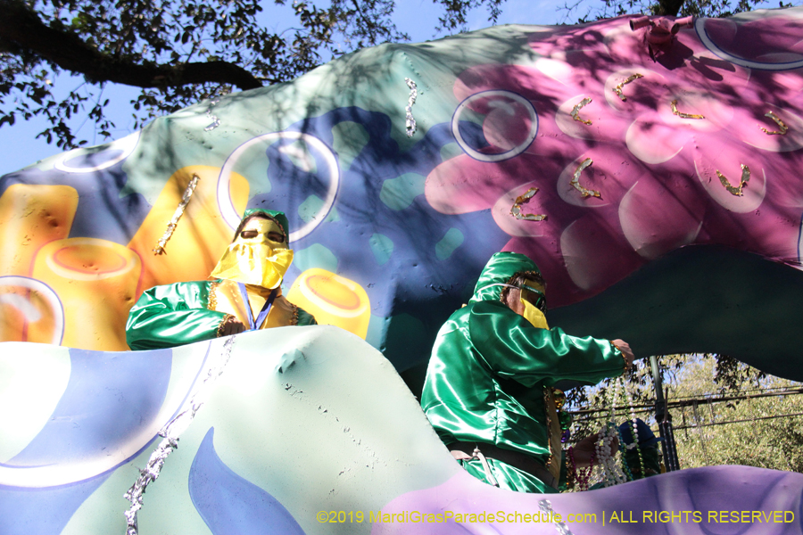 Krewe-of-Carrollton-2019-003228