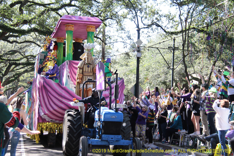 Krewe-of-Carrollton-2019-003237