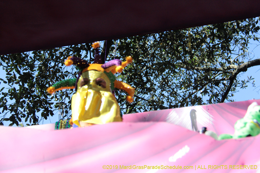 Krewe-of-Carrollton-2019-003240