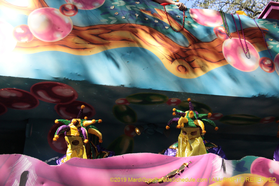 Krewe-of-Carrollton-2019-003243