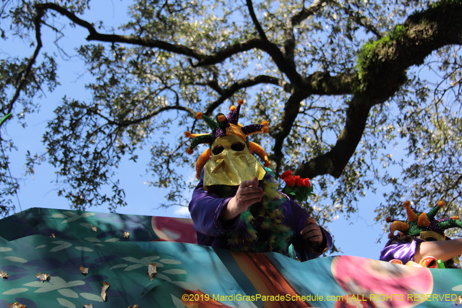 Krewe-of-Carrollton-2019-003244