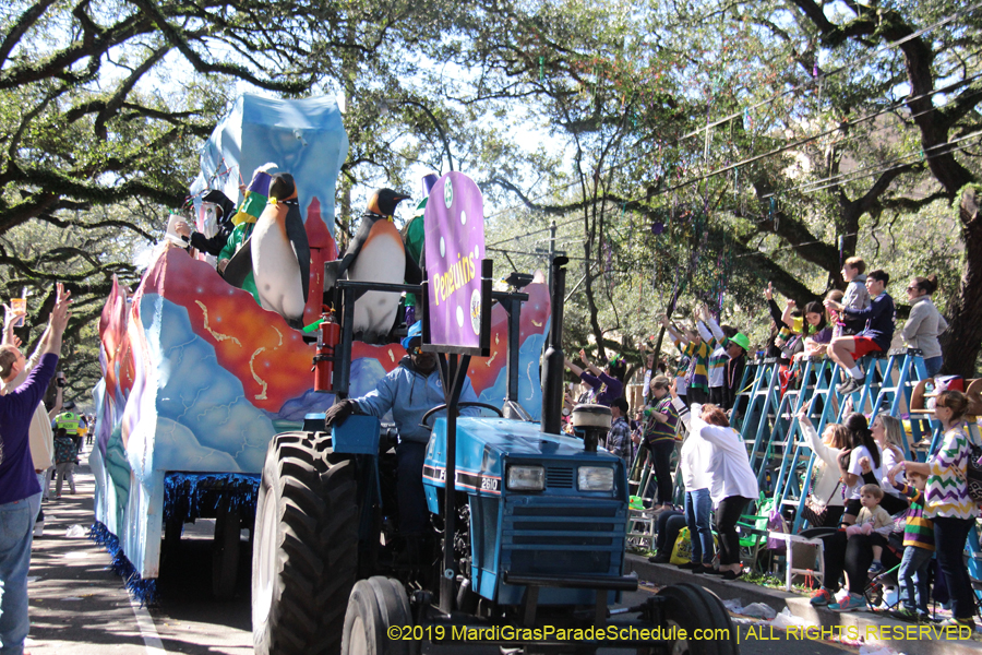 Krewe-of-Carrollton-2019-003250