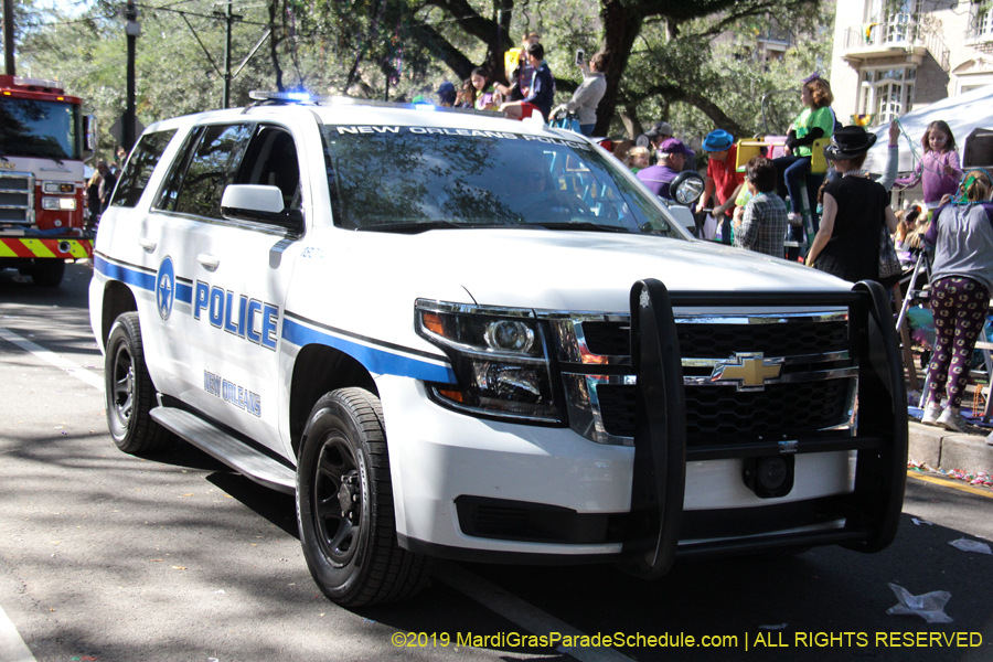 Krewe-of-Carrollton-2019-003257