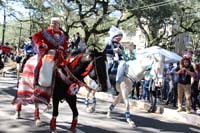 Krewe-of-Carrollton-2019-003181