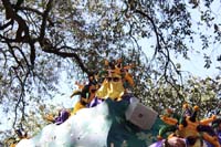 Krewe-of-Carrollton-2019-003215