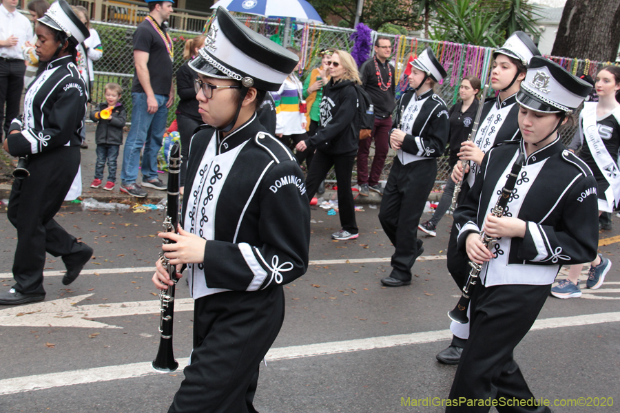 Krewe-of-Carrollton-2020-03538