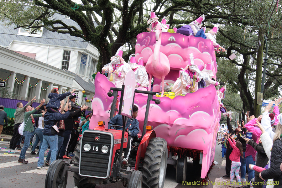 Krewe-of-Carrollton-2020-03539