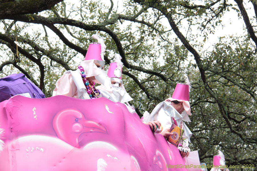 Krewe-of-Carrollton-2020-03541