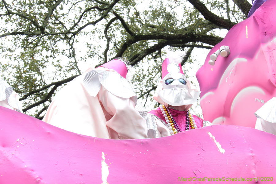 Krewe-of-Carrollton-2020-03542