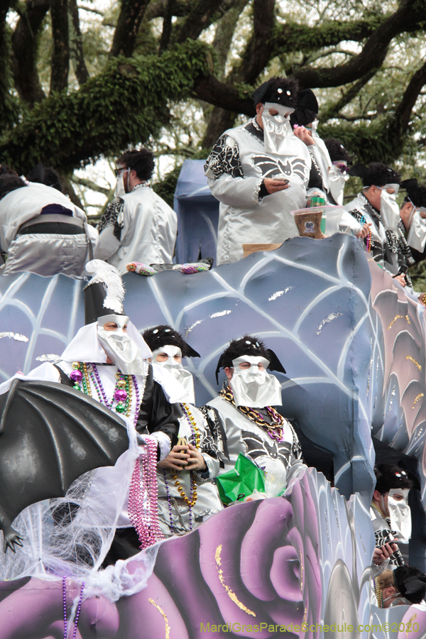 Krewe-of-Carrollton-2020-03582