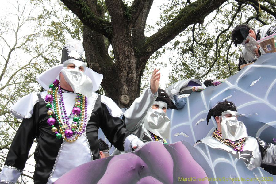 Krewe-of-Carrollton-2020-03583