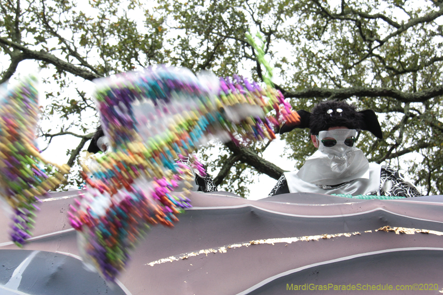 Krewe-of-Carrollton-2020-03585