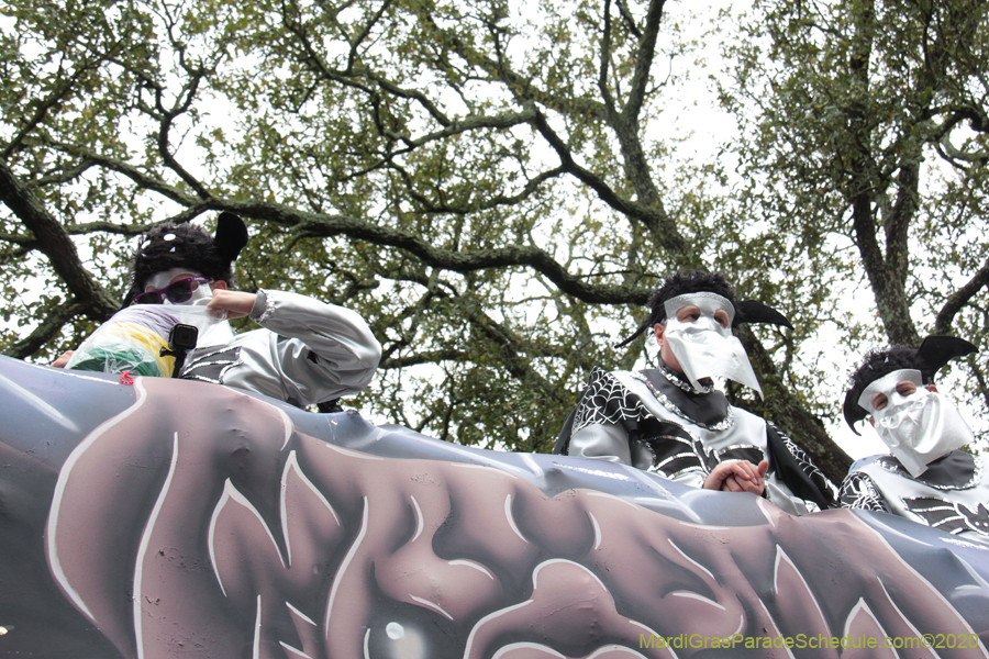 Krewe-of-Carrollton-2020-03586